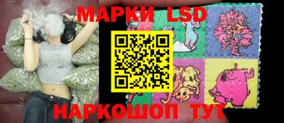 a pvp Гатчина
