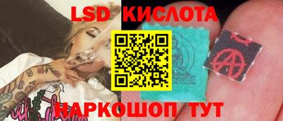 a pvp Гатчина