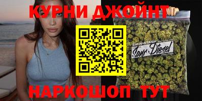 a pvp Гатчина