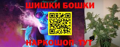 a pvp Гатчина