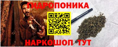 a pvp Гатчина