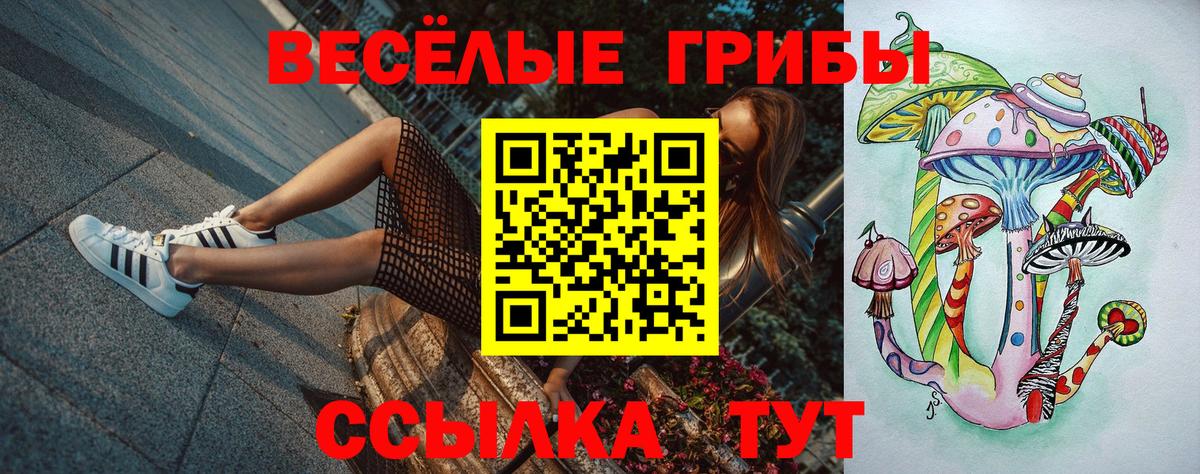Галлюциногенные грибы Cubensis Михайловск