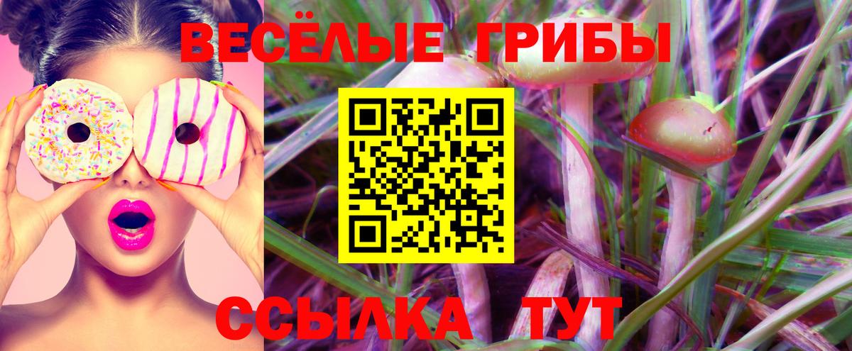 Галлюциногенные грибы GOLDEN TEACHER  Вход с VPN  Михайловск 